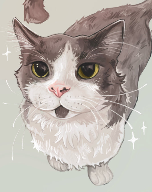 Pet Portrait