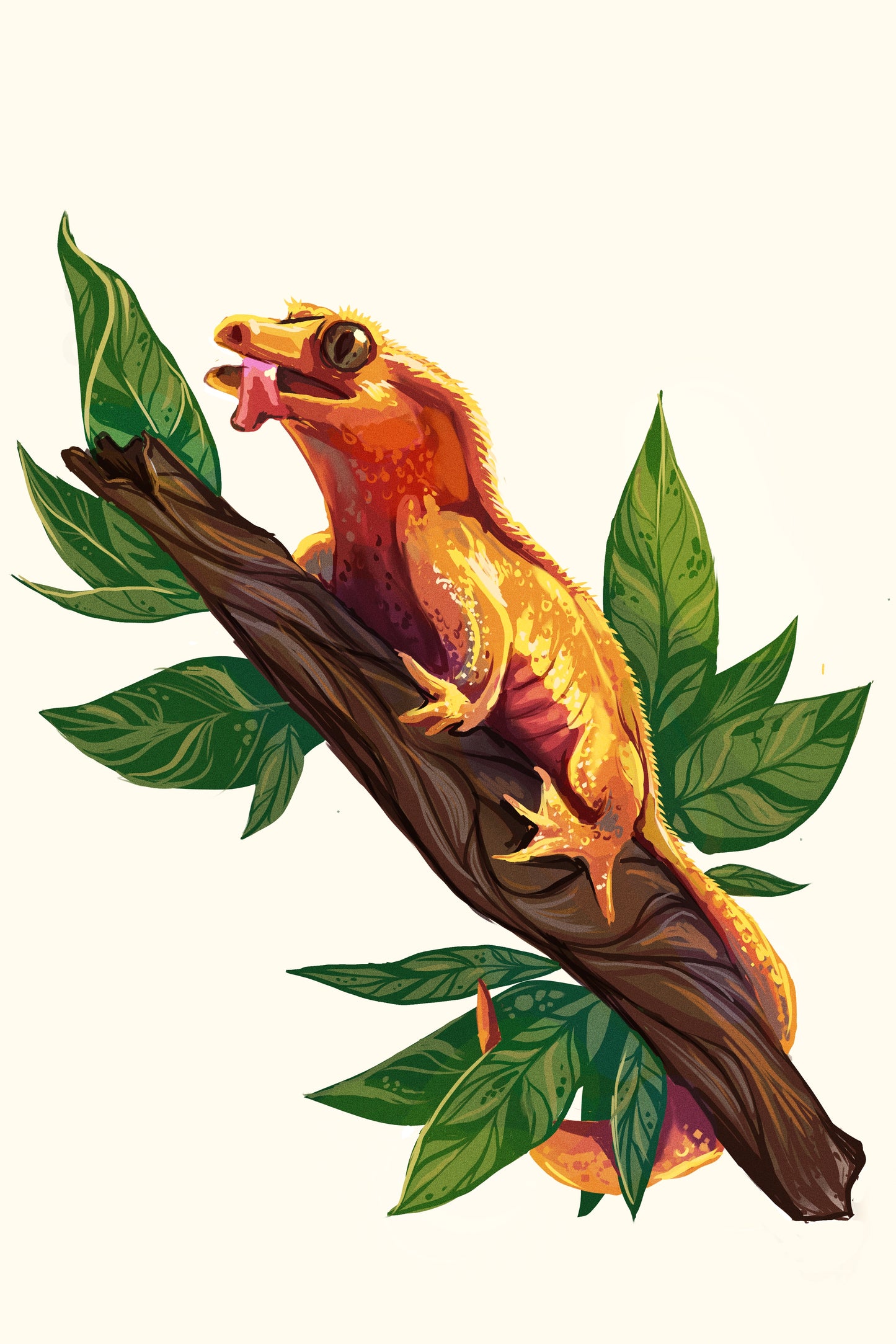 Pet Portrait