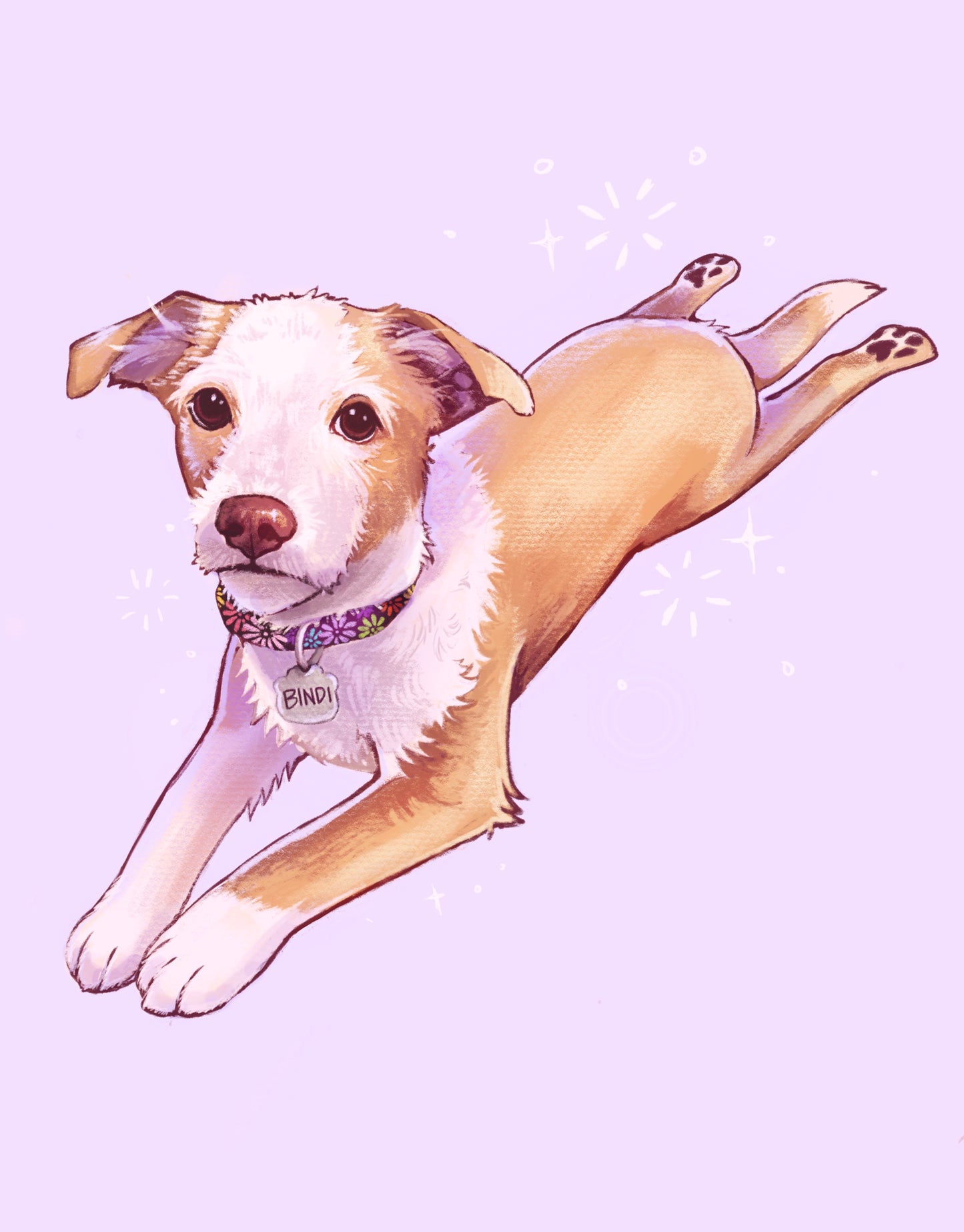 Pet Portrait