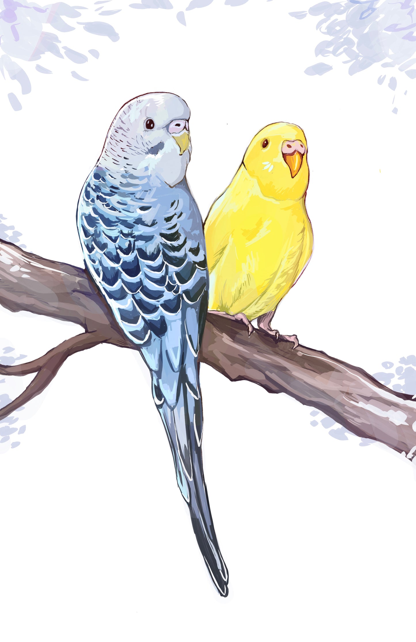 Pet Portrait - Multiple Pets