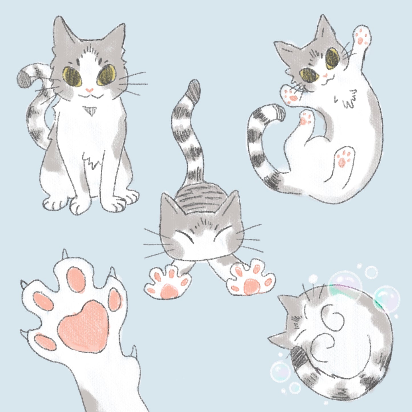 Pet Doodles