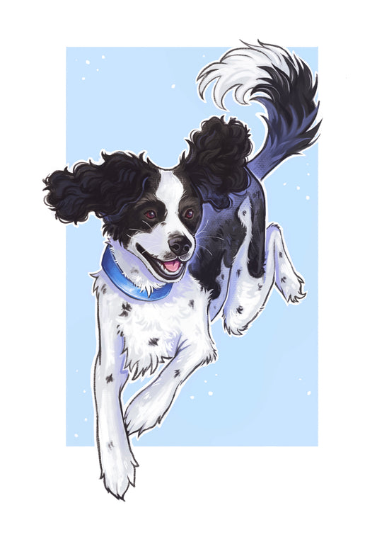 Pet Portrait